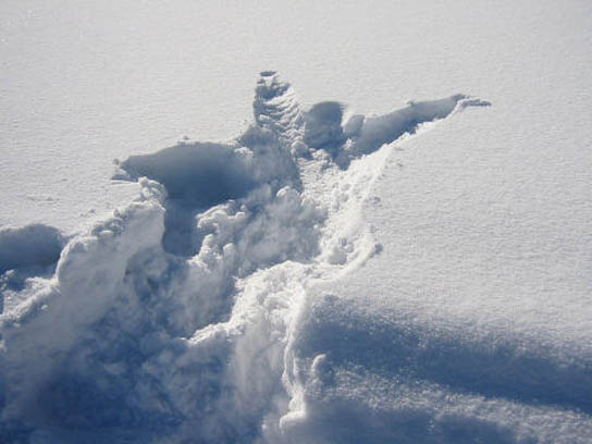 Eindruck im Schnee