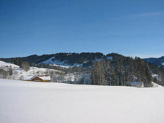 Beeindruckende Schneelandschaft im Allgäu bei Oberstaufen